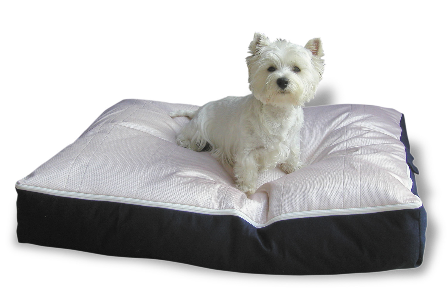 PoochPads Absorbent & Odor Resistent Dog Beds